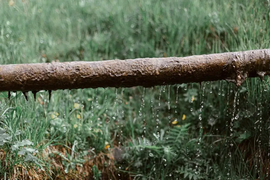 Exposed water line running through grass
